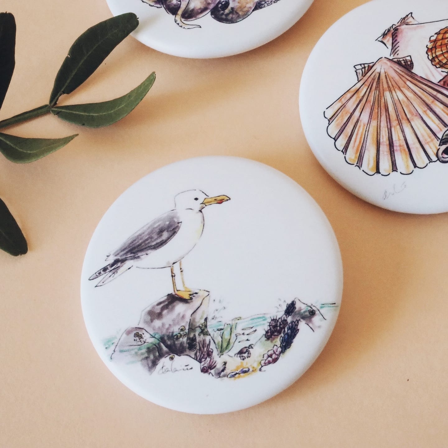 Chapas ilustradas Galicia