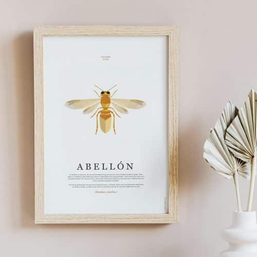 laminas-fauna-galega