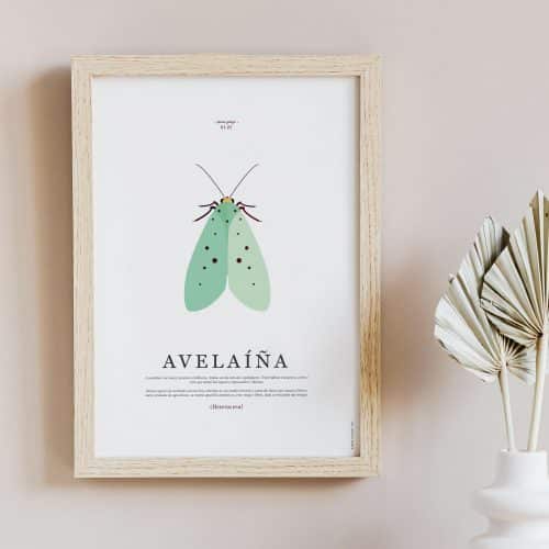 laminas-fauna-galega