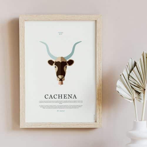 laminas-fauna-galega