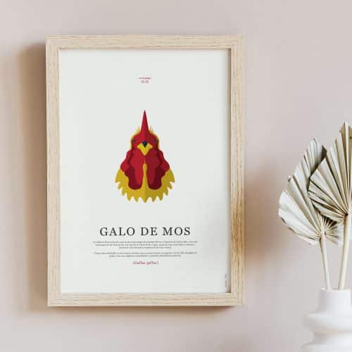 laminas-fauna-galega