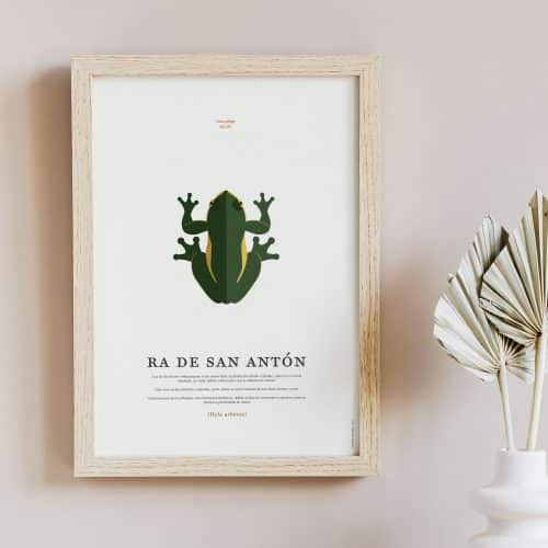 laminas-fauna-galega