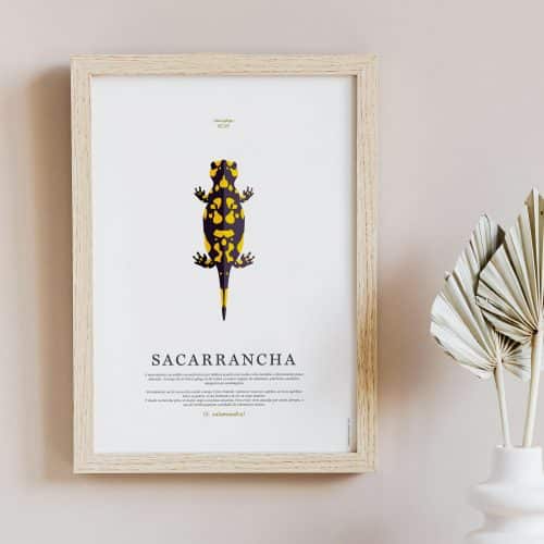 laminas-fauna-galega