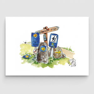 camino-de-santiago