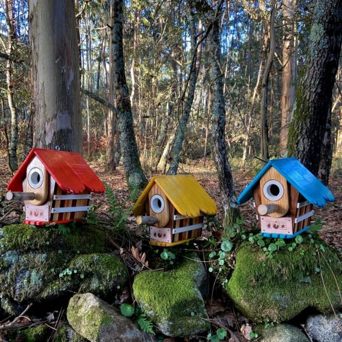 cabaña-aves