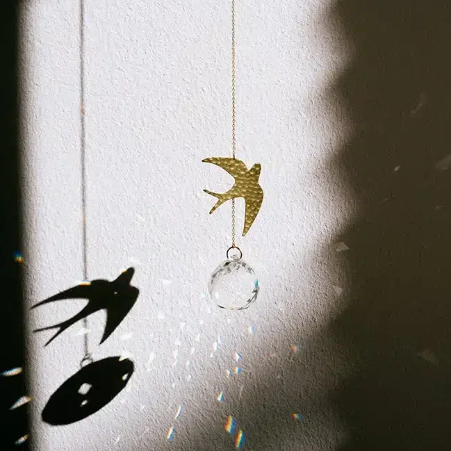 Atrapaluz golondrina