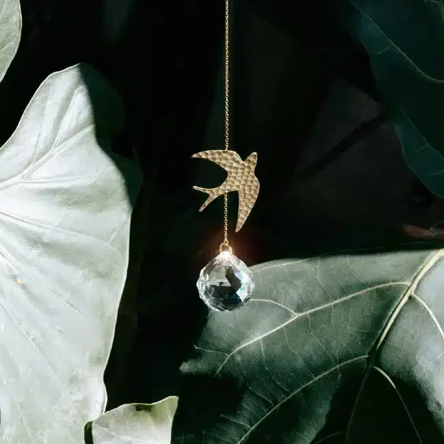 Atrapaluz golondrina