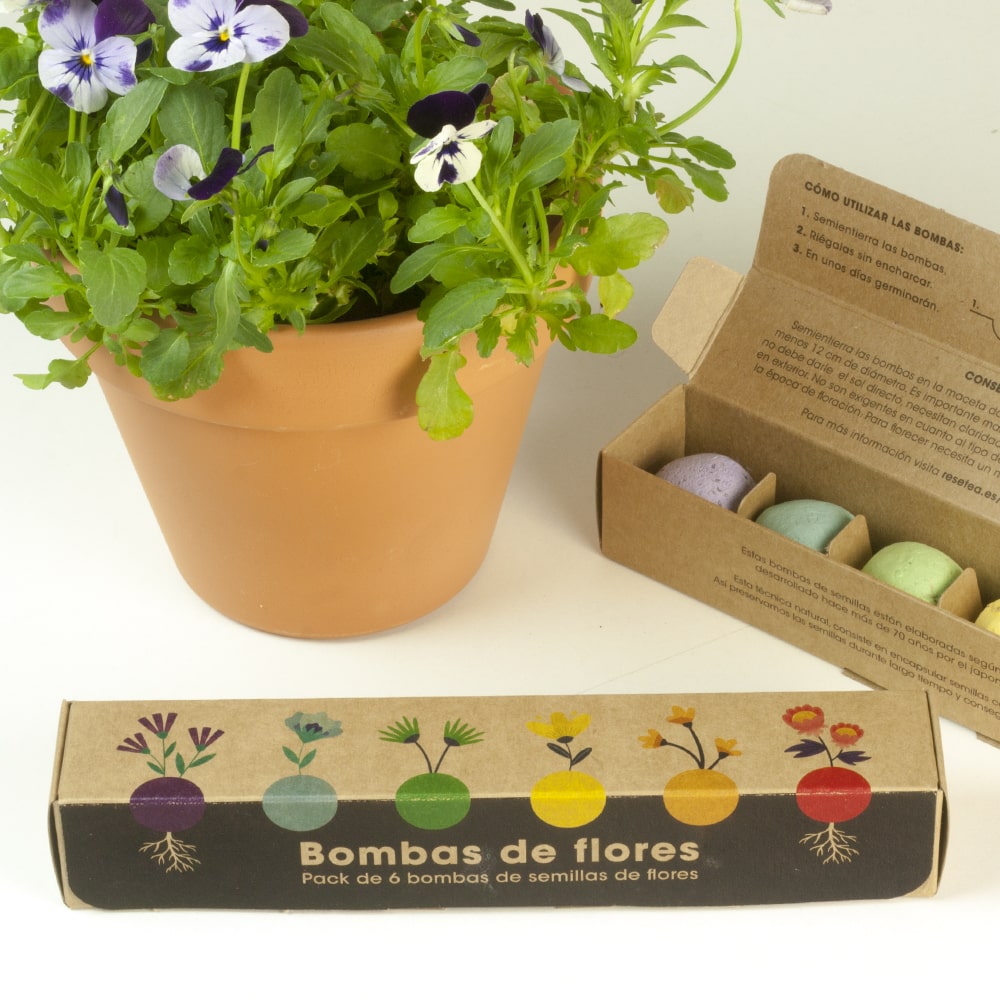 Pack 6 Bombas de Flores