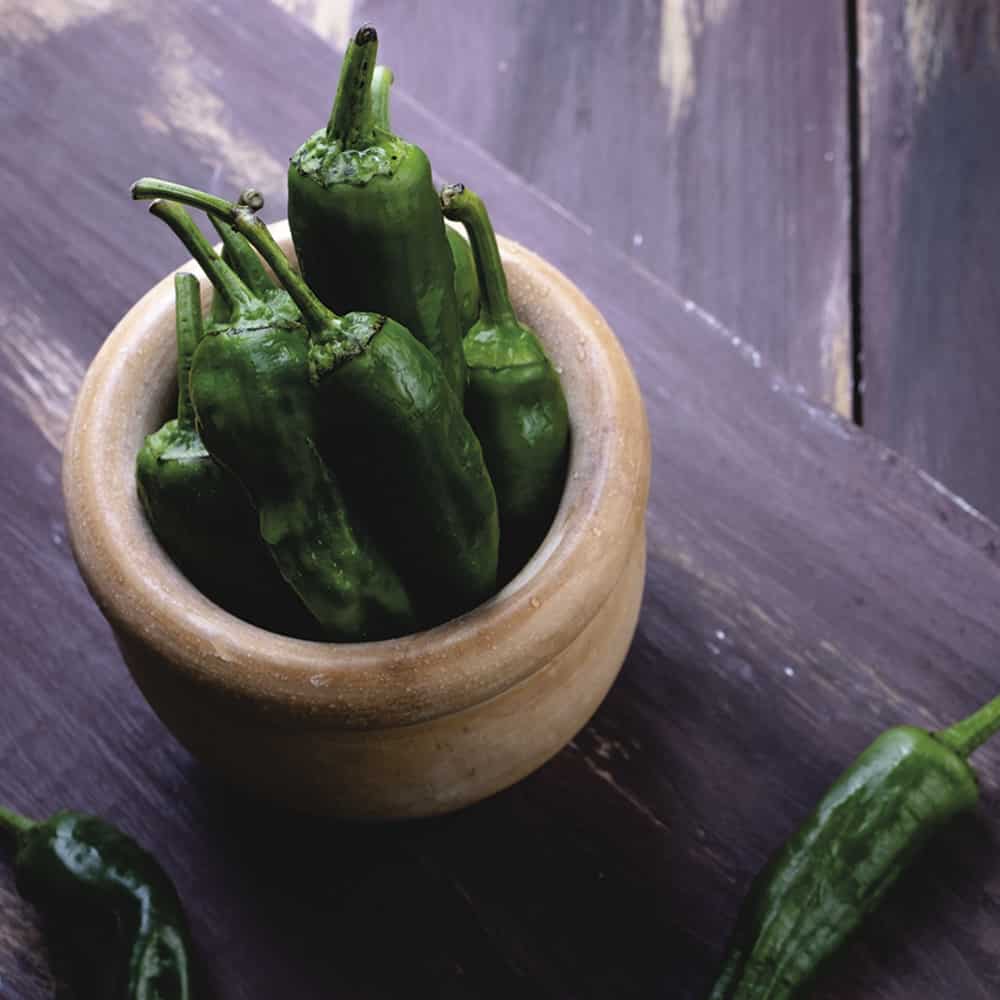 Kit Autocultivo de Pimientos de Padrón