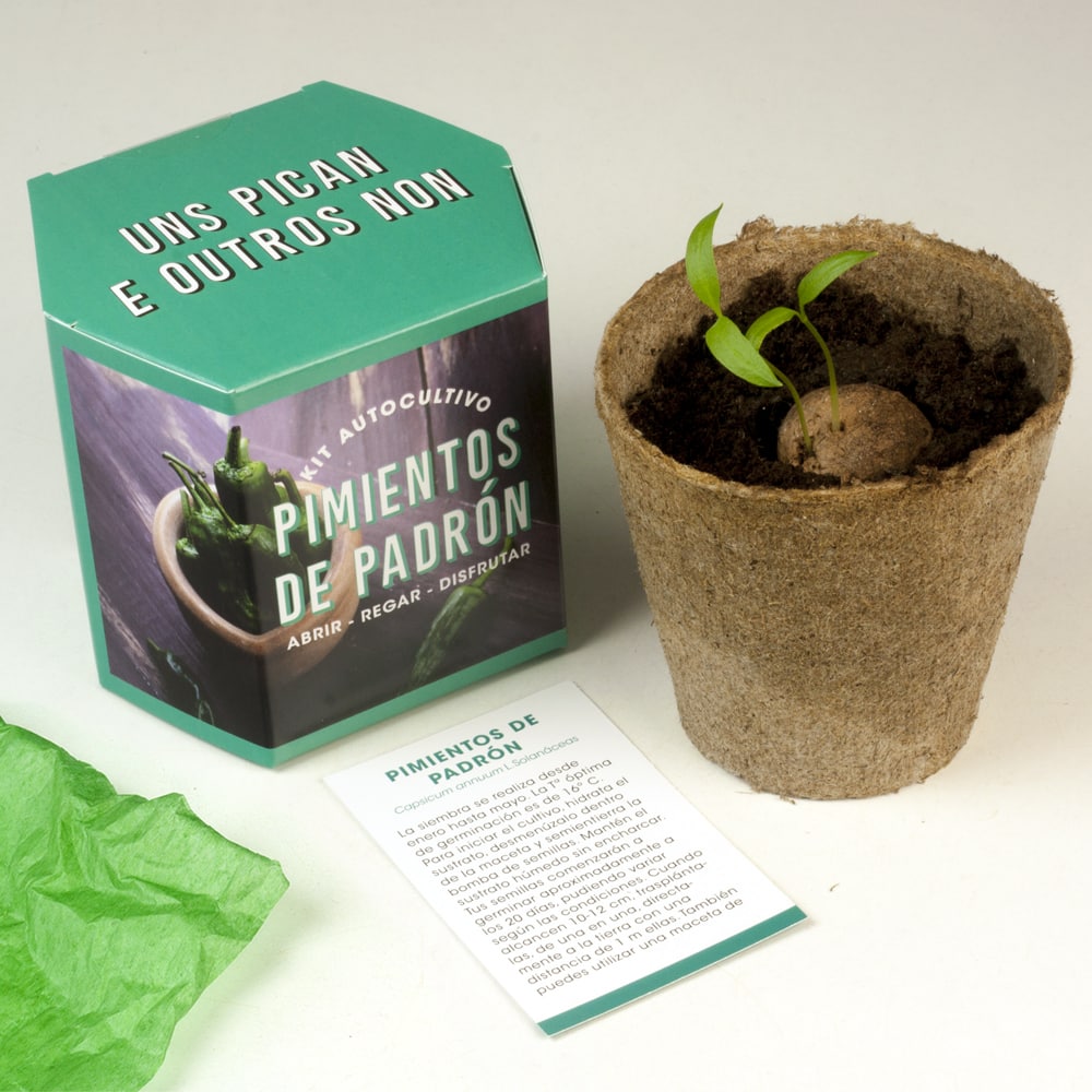 Kit Autocultivo de Pimientos de Padrón