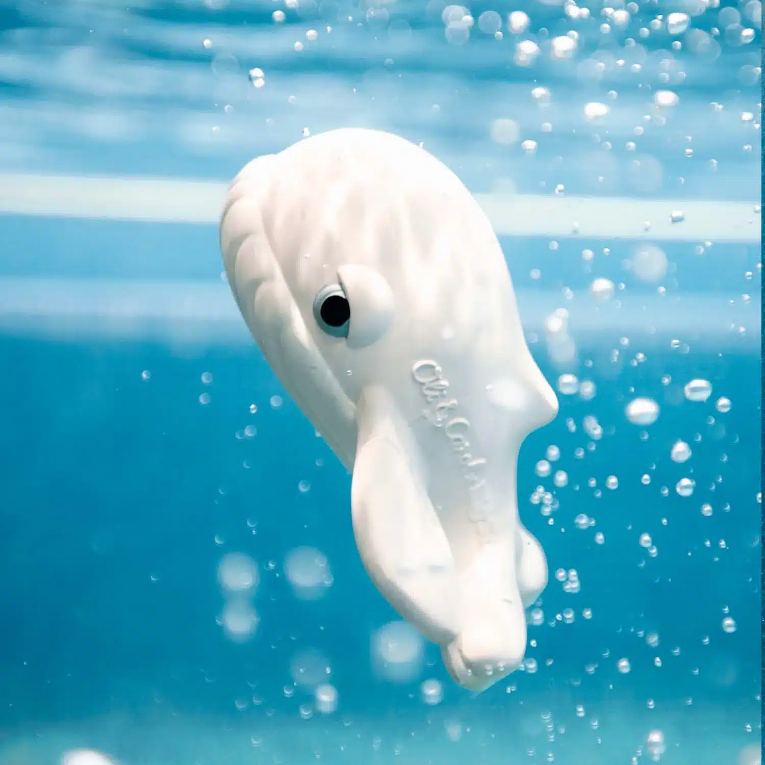 Mordedor para bebés animales albinos