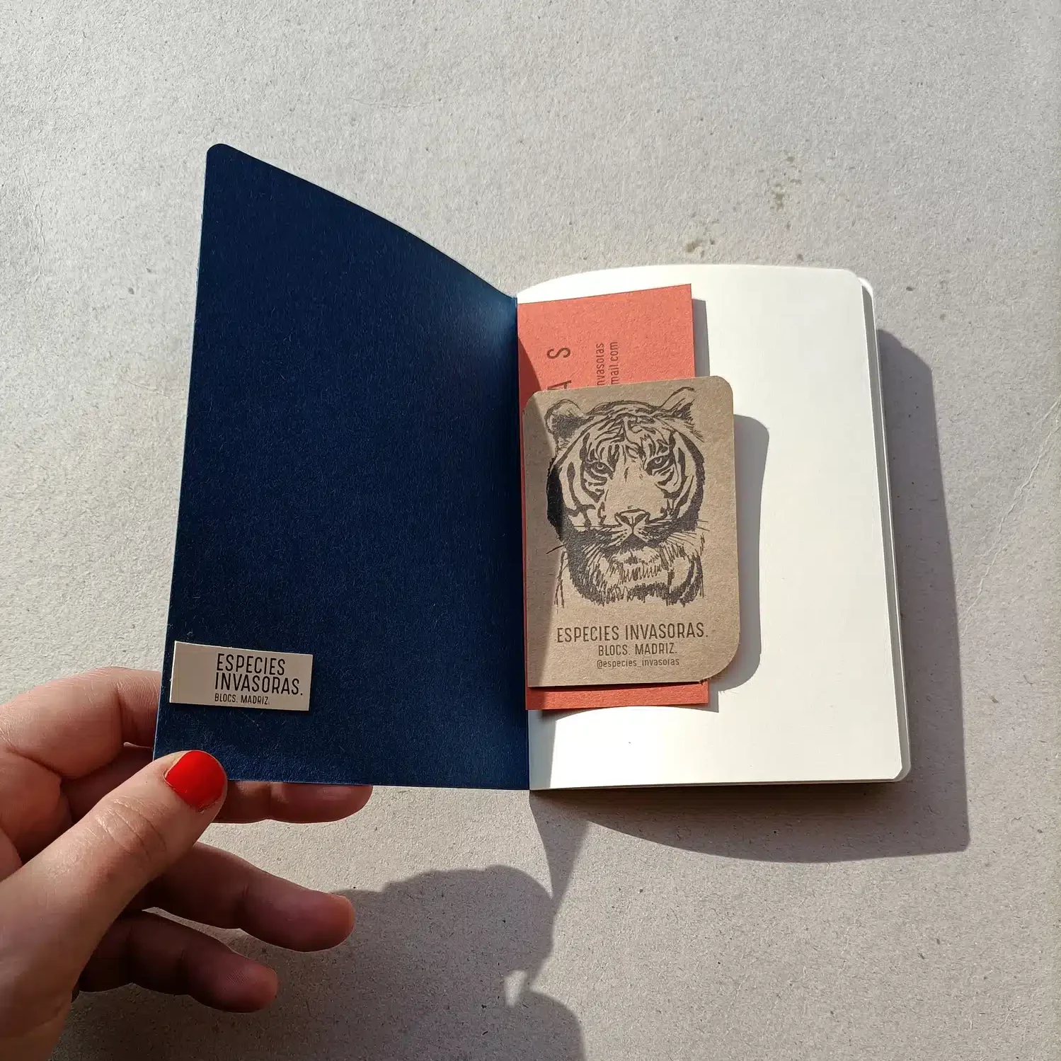 Libreta carpeta Mosca