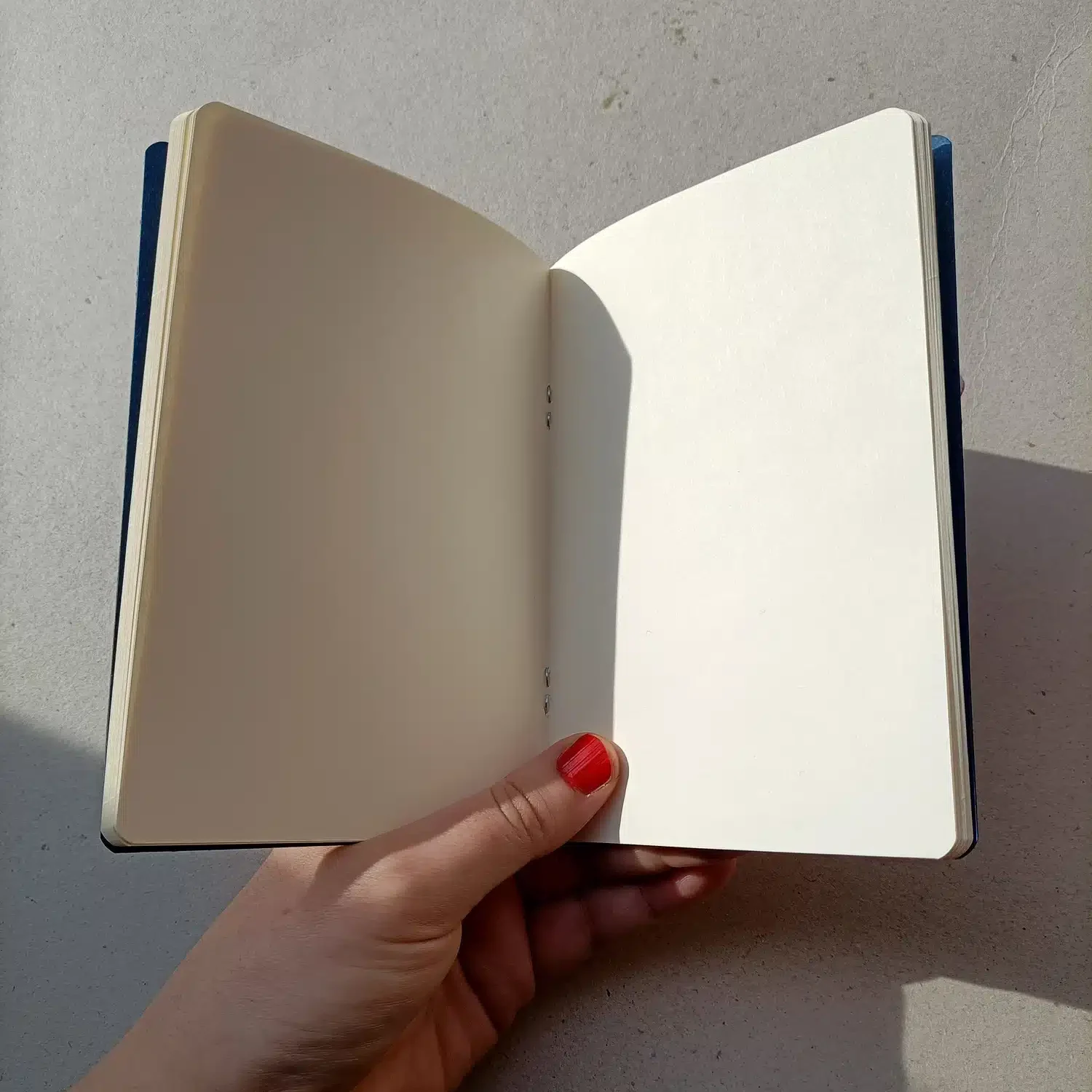 Libreta carpeta Mosca