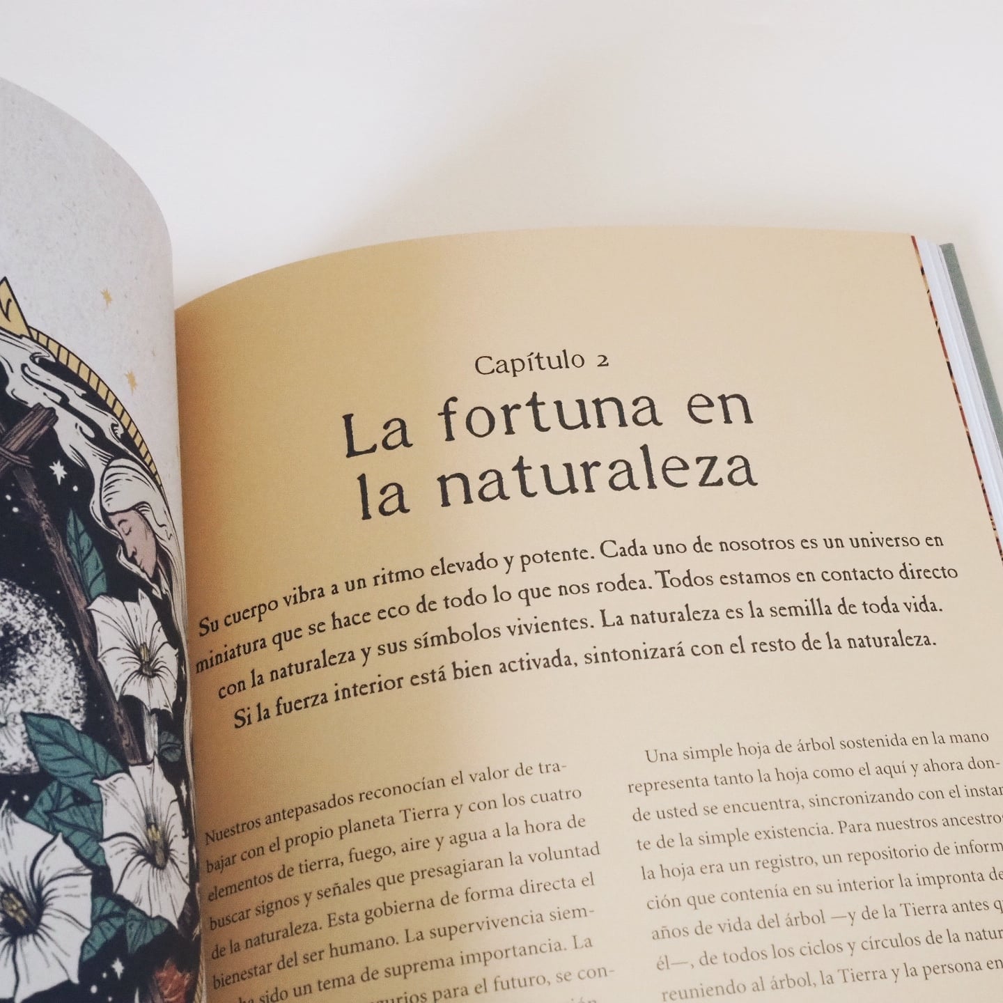 Manual de adivinación