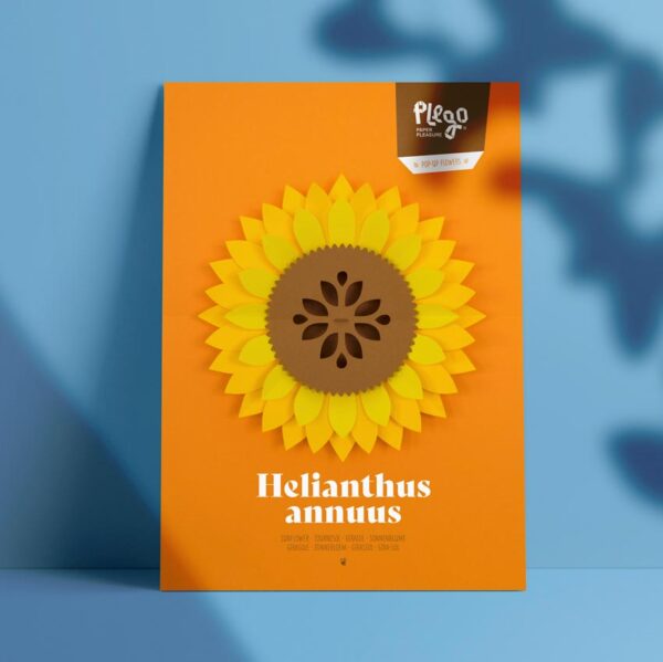 Girasol de papel Pop Up