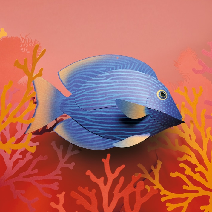 Pez cirujano de papel 3D