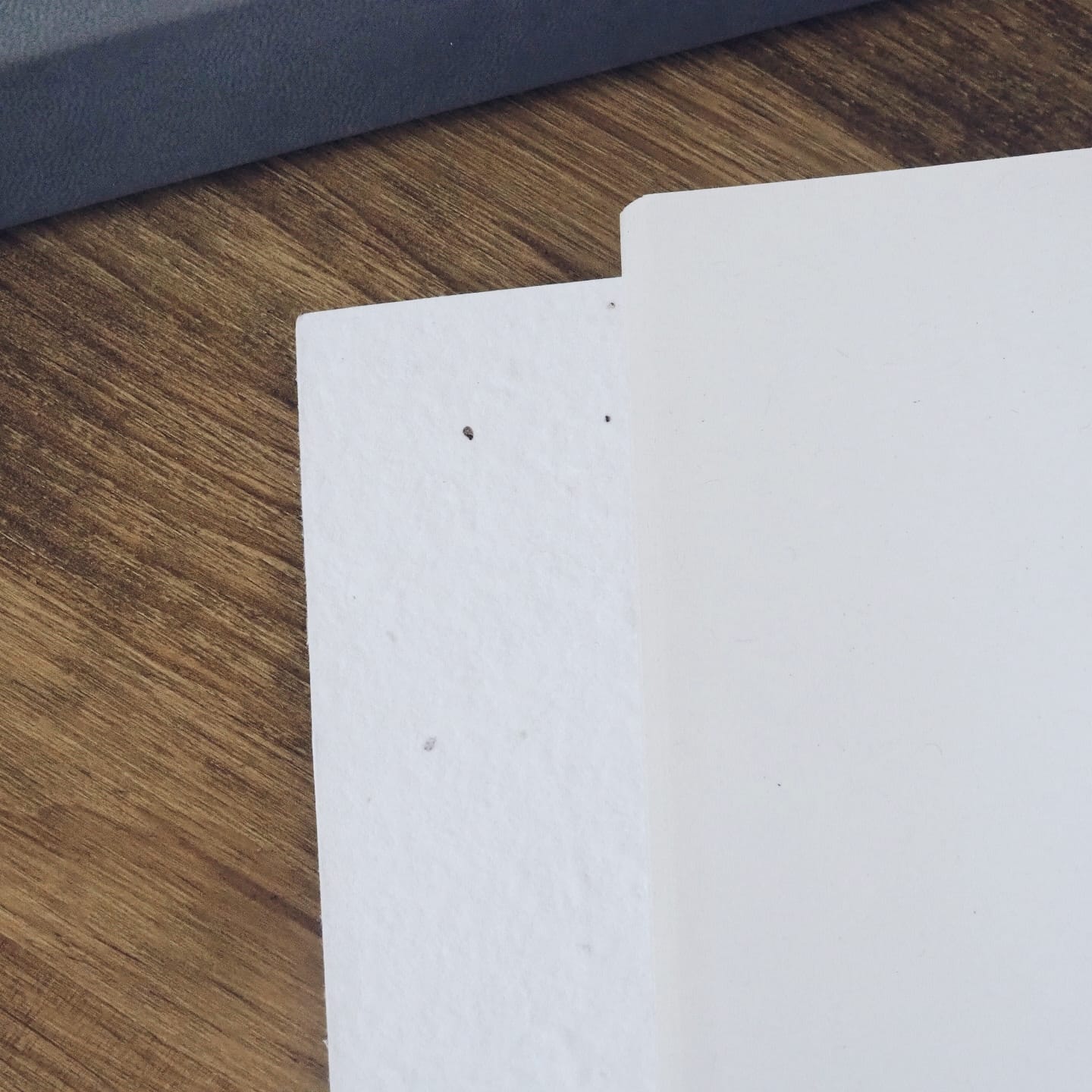 Libreta plantable