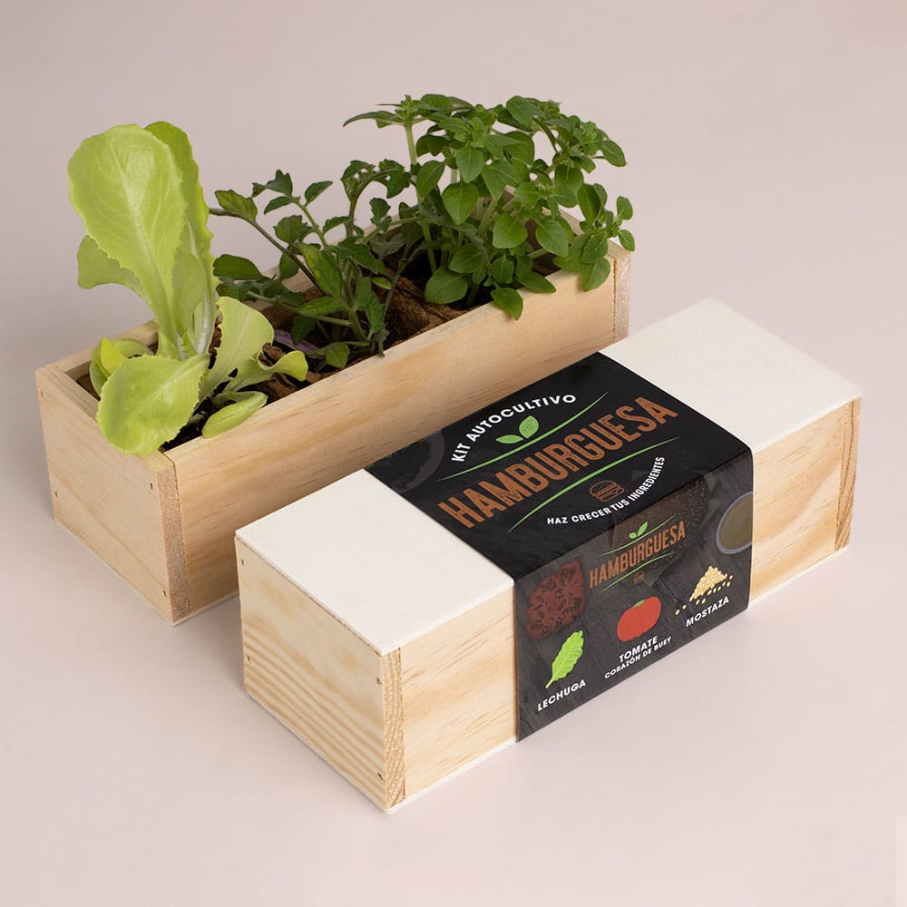 Kit Autocultivo Hamburguesa