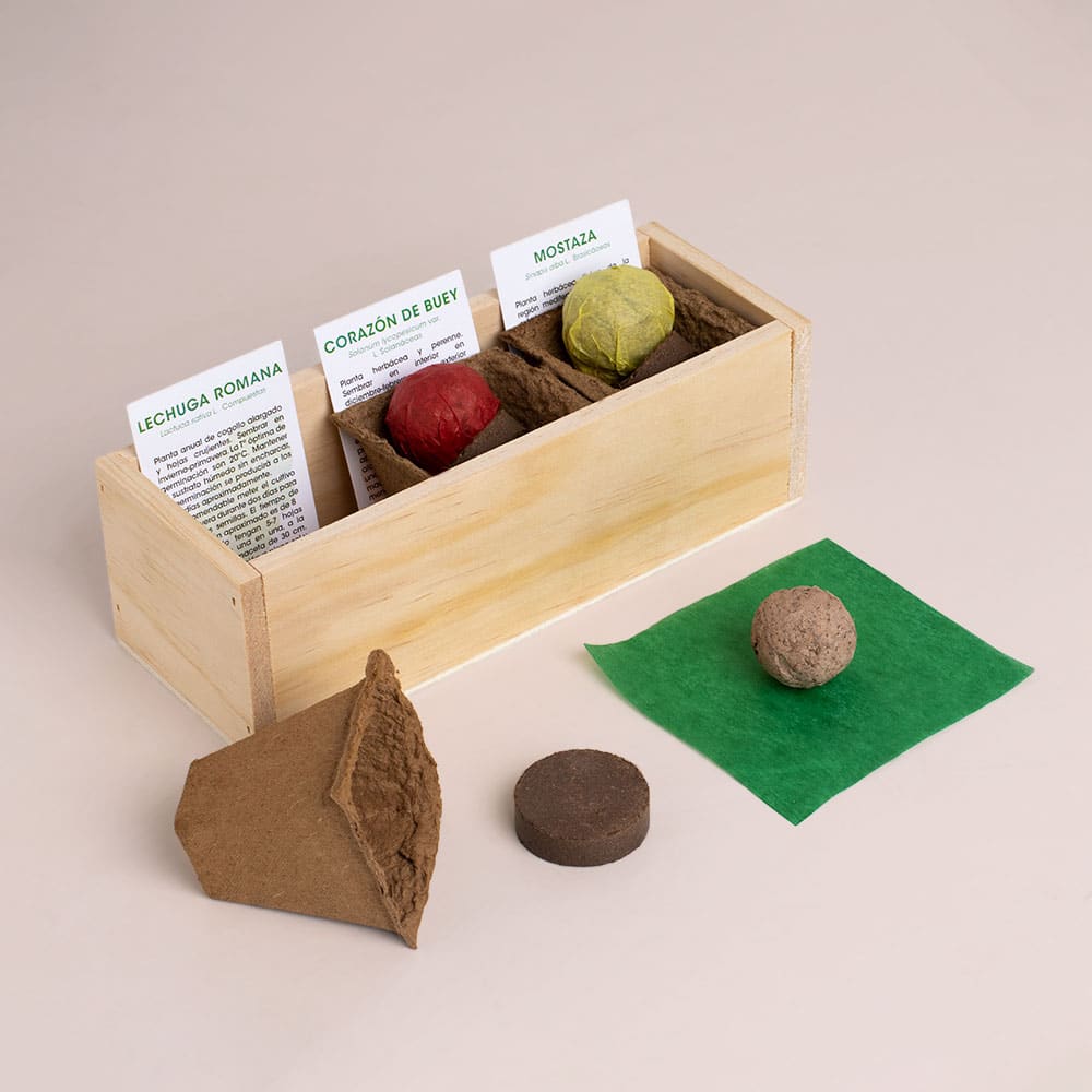 Kit Autocultivo Hamburguesa