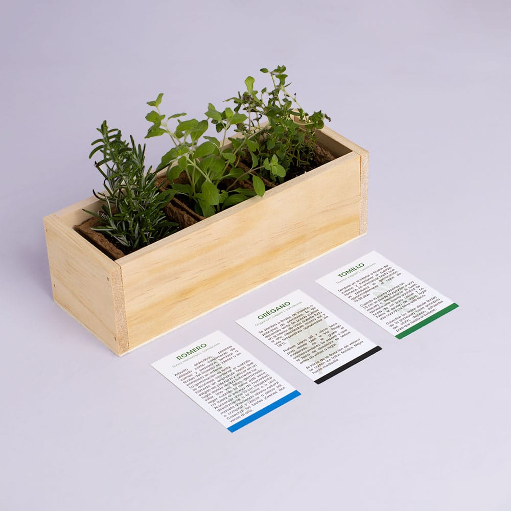 Kit Autocultivo Provenzal