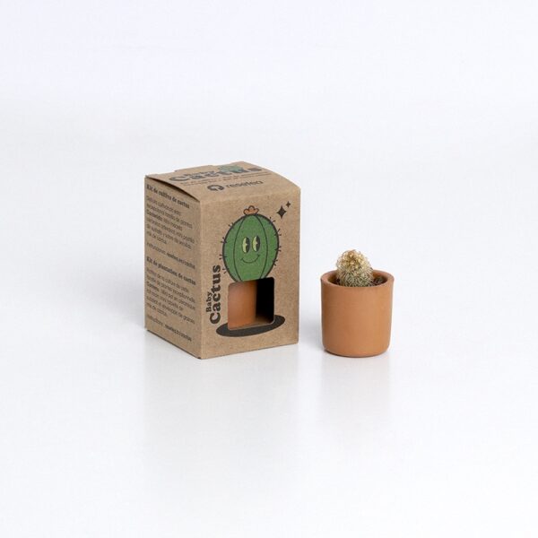Baby Cactus