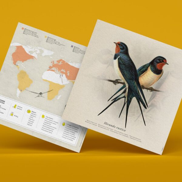 Golondrina de papel 3D