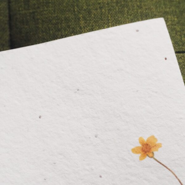Libreta plantable Coidados