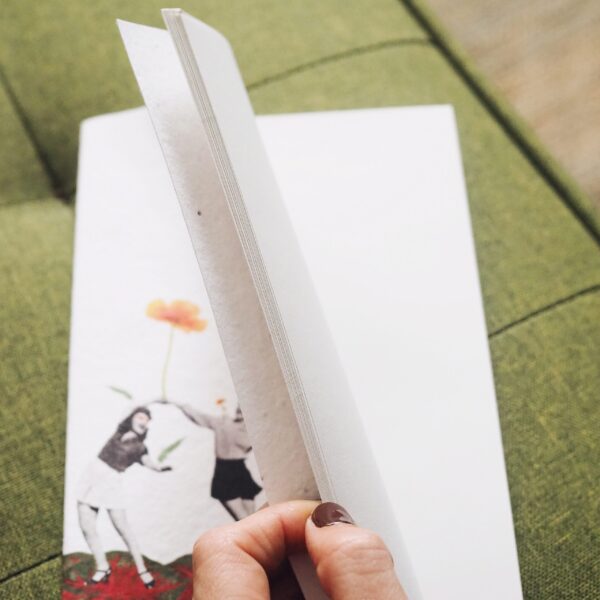 Libreta plantable Coidados