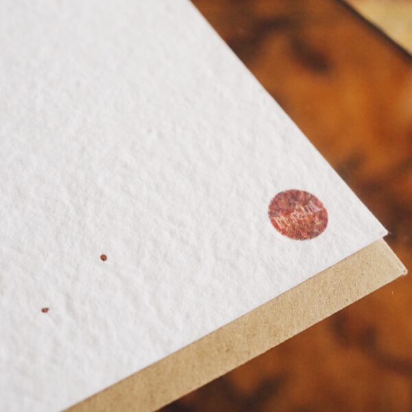 Tarjeta plantable Amizade