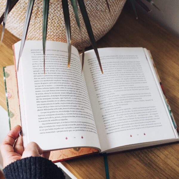 Libro Cuentos de Navidad clásicos