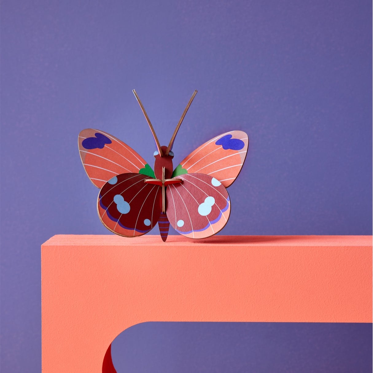 Mariposa Delias montable
