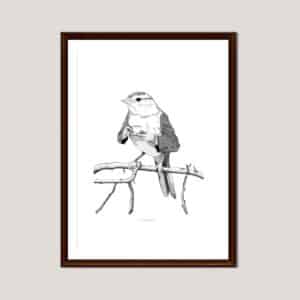 Lámina Pájaro con café