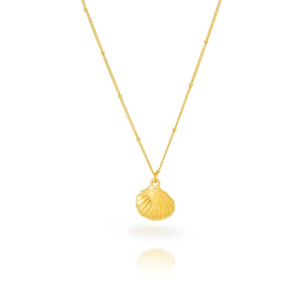 El collar Concha es una joya minimalista, de acero inoxidable-Hipoalergénico y un acabado en baño de oro.