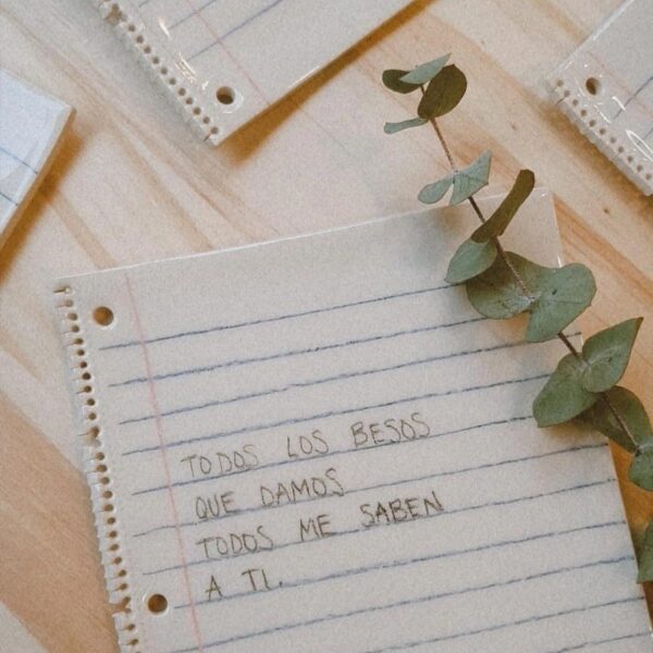 Plato libreta canciones