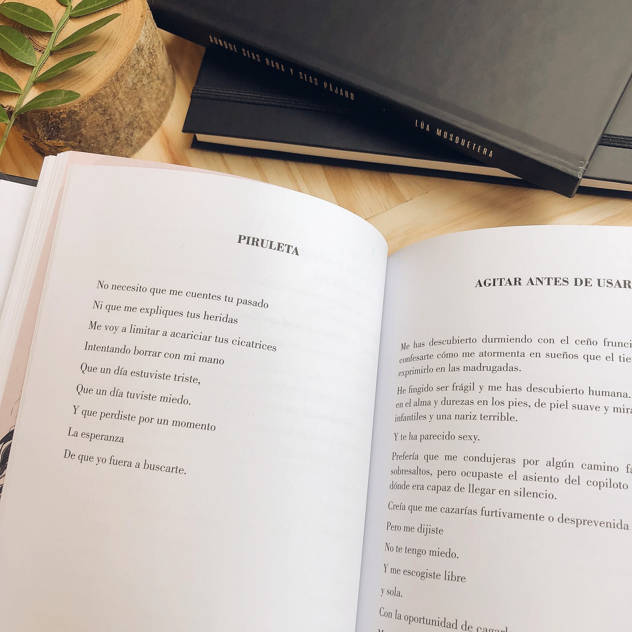 Página interior del libro Aunque seas rara y seas pájaro mostrando poemas de Lúa Mosquetera e ilustraciones de Lidia Cao