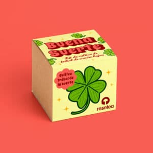 Kit para cultivar trébol de 4 hojas en casa con bulbo, sustrato y maceta biodegradable. Un regalo original y sostenible lleno de buena suerte