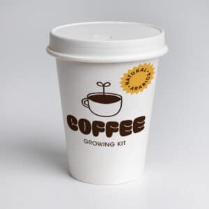 Kit para cultivar café arábica en casa con semillas, sustrato y macetas biodegradables. Un regalo original para amantes del café y las plantas.