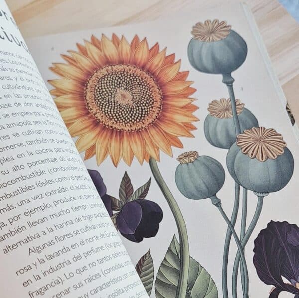 Bienvenidos a Botanicum. Un museo que está siempre abierto que alberga en su interior una extraordinaria colección de plantas.
