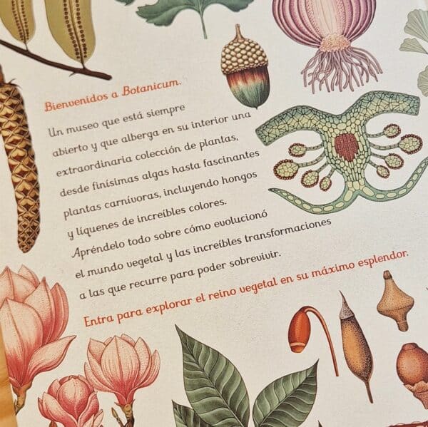 Bienvenidos a Botanicum. Un museo que está siempre abierto que alberga en su interior una extraordinaria colección de plantas.