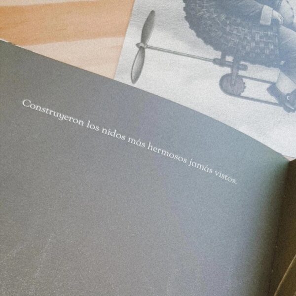 Bandada, obra ganadora del V Premio Internacional Compostela de Álbum Ilustrado