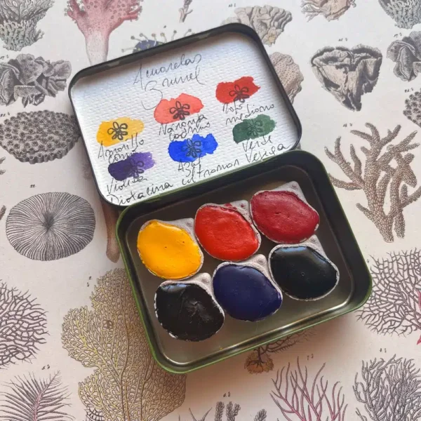 Paleta acuarela 6 colores clásicos